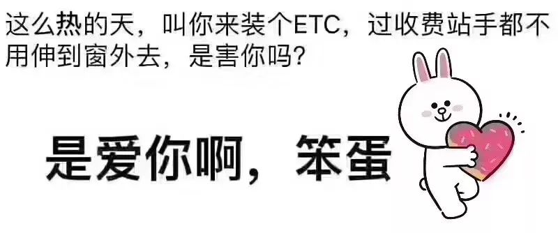 天生優勢，快人一步，得天獨厚無需做是什么生肖精选解析、解释与落实、专家解答解释落实